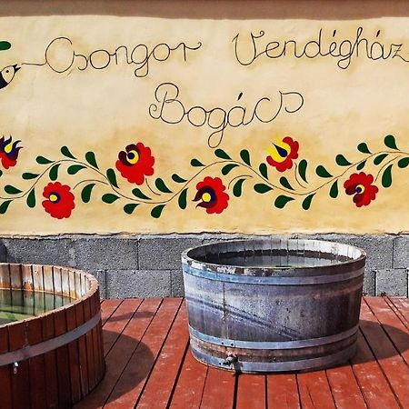 Csongor Vendeghaz: Bogacs Villa Buitenkant foto